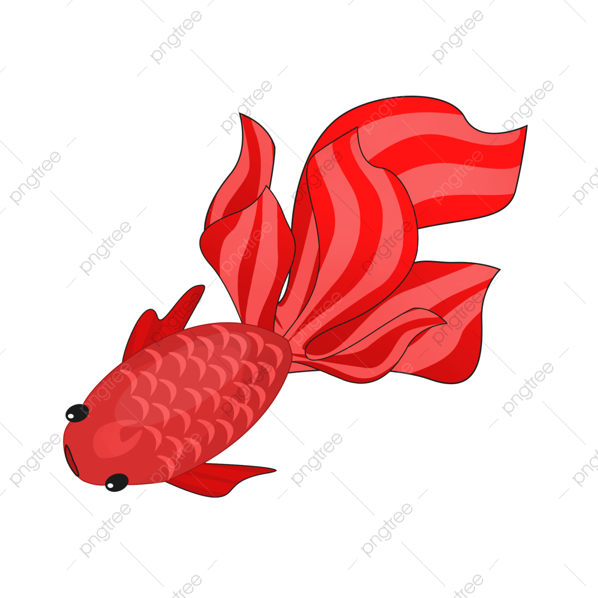 https://vclshop-dev3.tadalabs.vn//files/pngtree-red-big-tail-goldfish-png-image_7173983.png